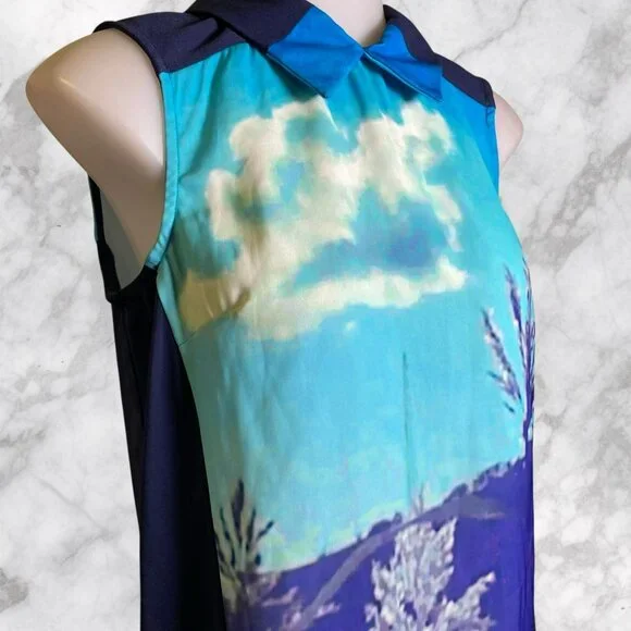 Finders Keepers December Song Shift Dress in Lake Tahoe Print